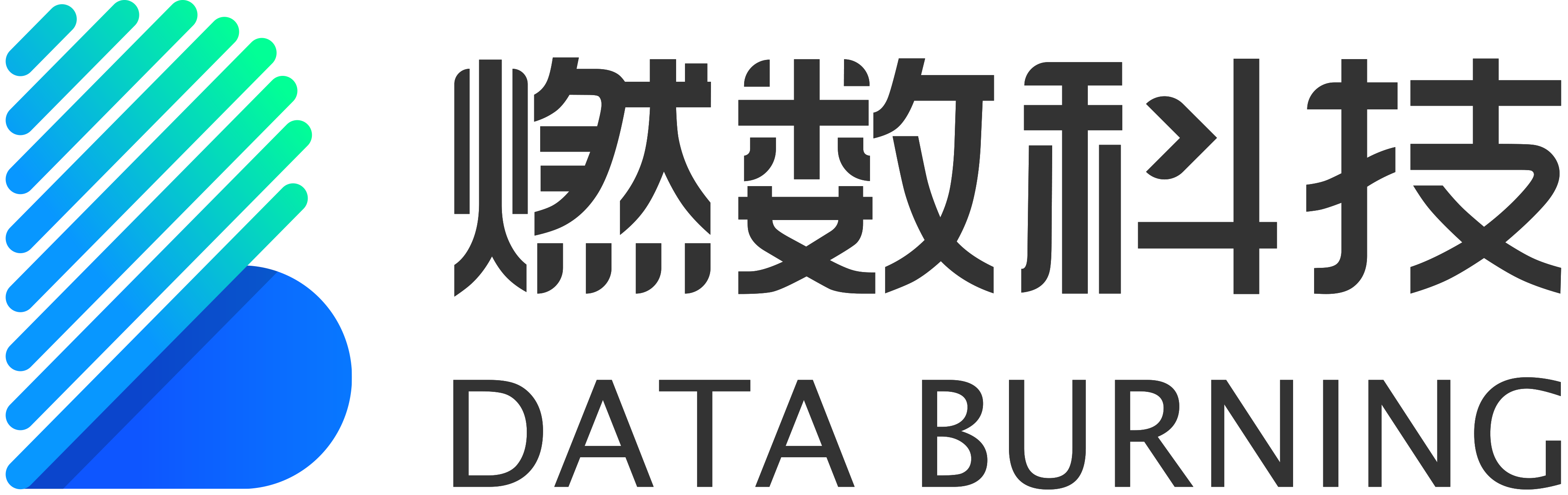 Data Burning