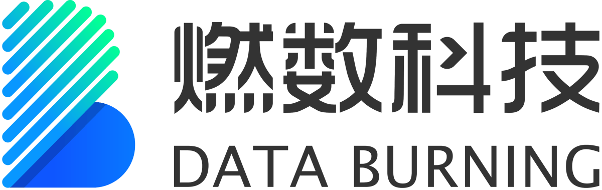 Data Burning