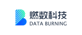 DATA BURNING