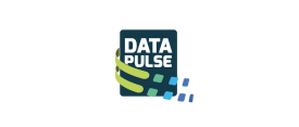datapulse-1